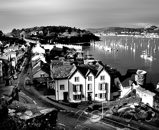 在线电话轰炸机